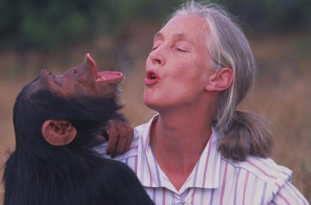 Read more about the article JANE GOODALLOVÁ – o empatii a dosažení plného lidského potenciálu