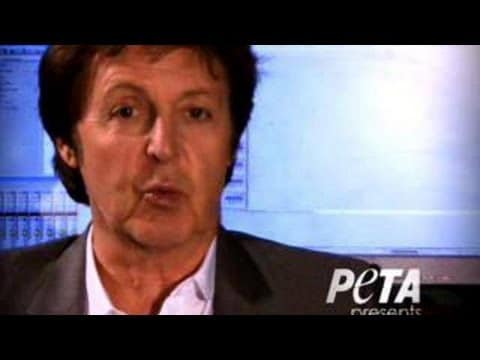 Read more about the article PAUL MCCARTNEY: KDYBY JATKA MĚLA SKLENĚNÉ STĚNY